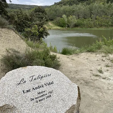 Le Taurillou Taurize