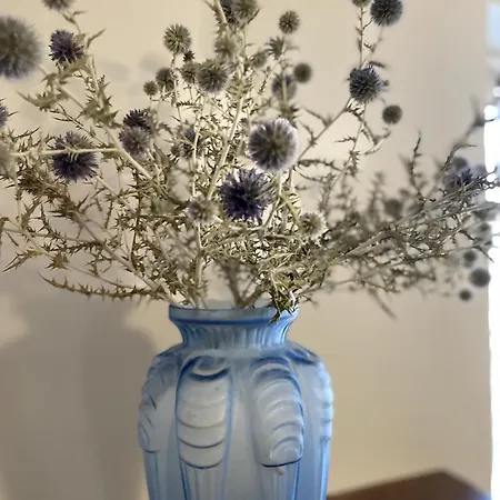 Le Taurillou Prázdninový dům