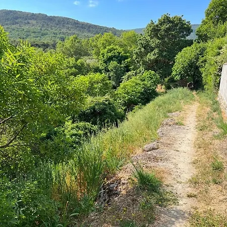 Le Taurillou Taurize
