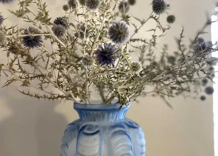 Le Taurillou Ferienhaus